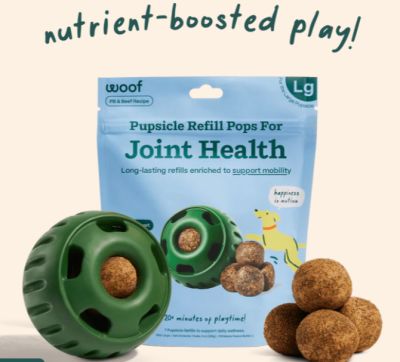 Woof Pet - Joint Pupsicle, L 8 oz