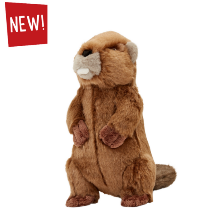 Fluff &amp; Tuff - Troy Beaver