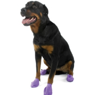 Pawz - L