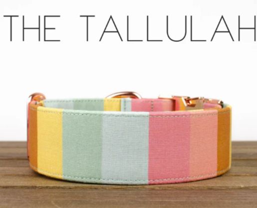 PJP MGale - Tallulah, M/L 1.5"
