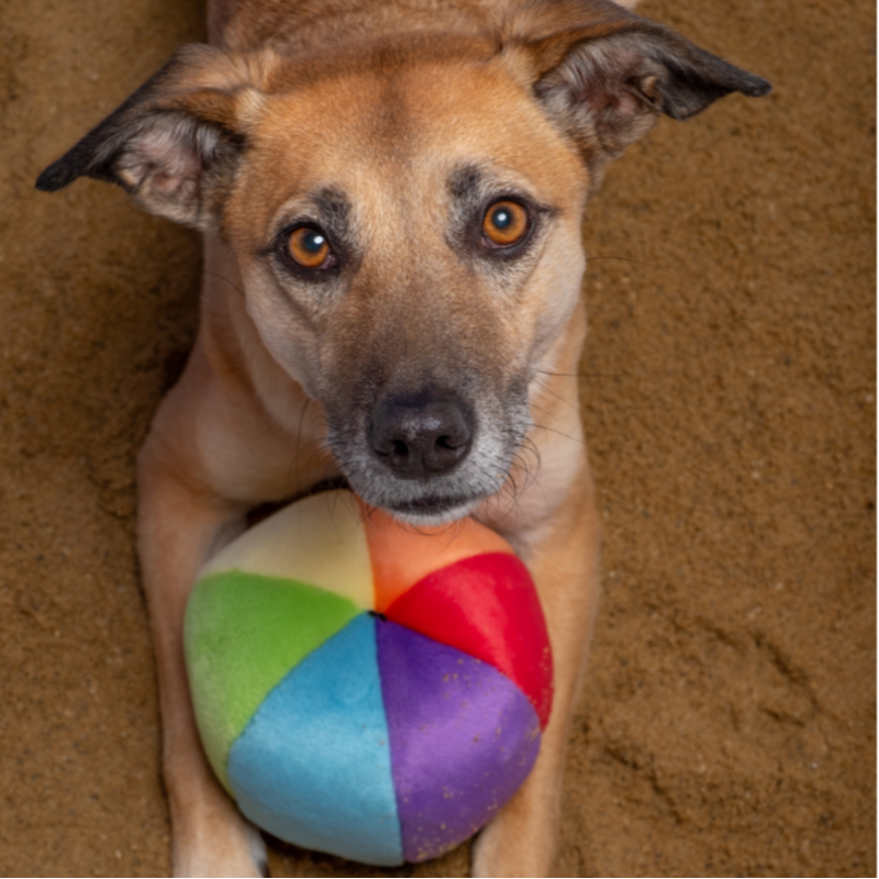 Fluff &amp; Tuff - Mini Beach Ball, S