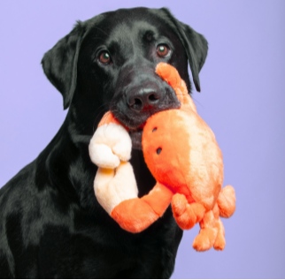 Fluff &amp; Tuff - Phyllis Crab