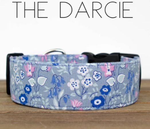 PJP - Darcie, S