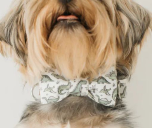 PJP - Jude Bow Tie, L/XL