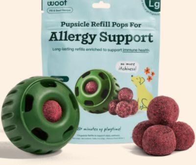 Woof Pet - Allergy Pupsicle, L 8 oz
