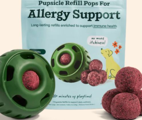 Woof Pet - Allergy Pupsicle, S 6 oz