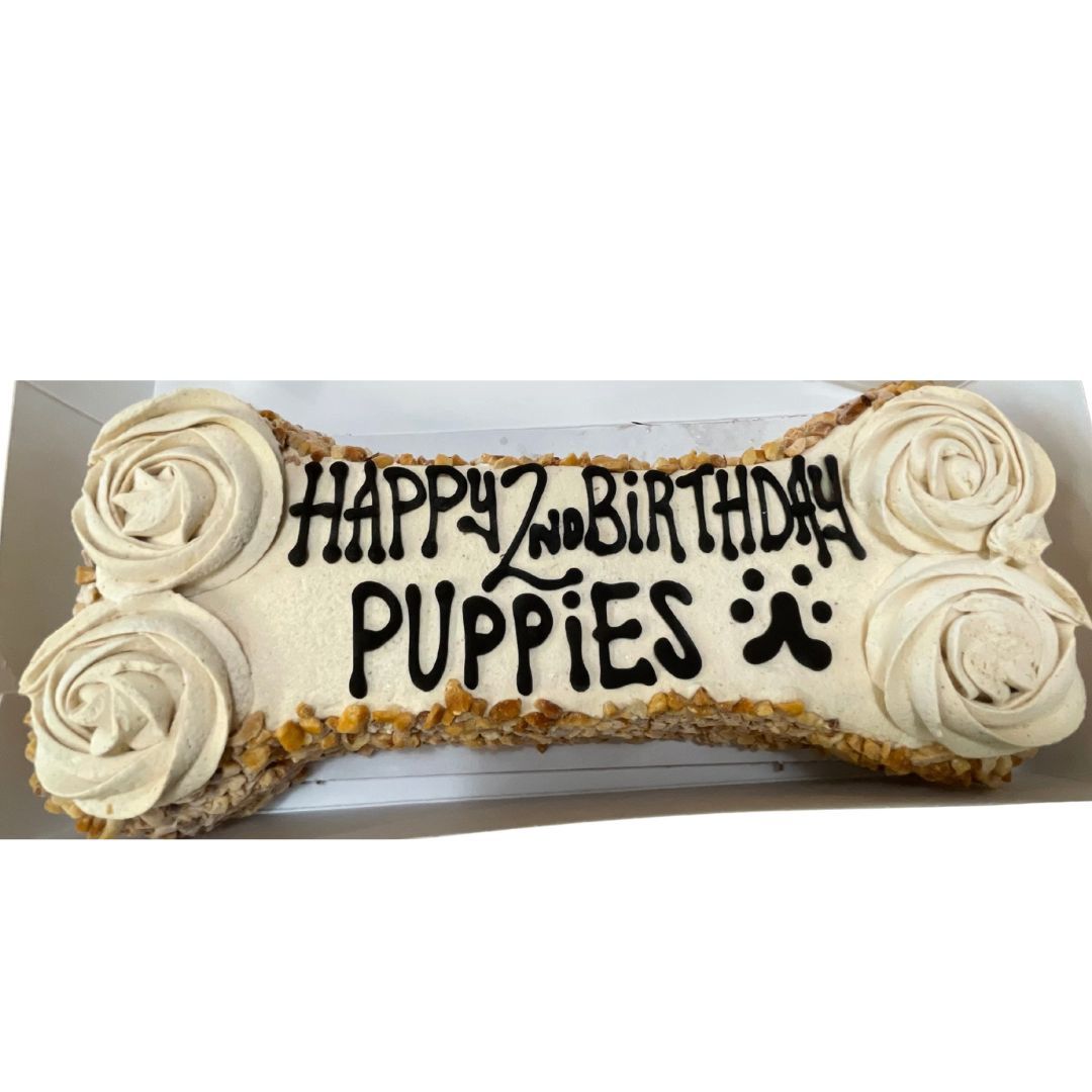 CeleBARK Cake - LG Bone
