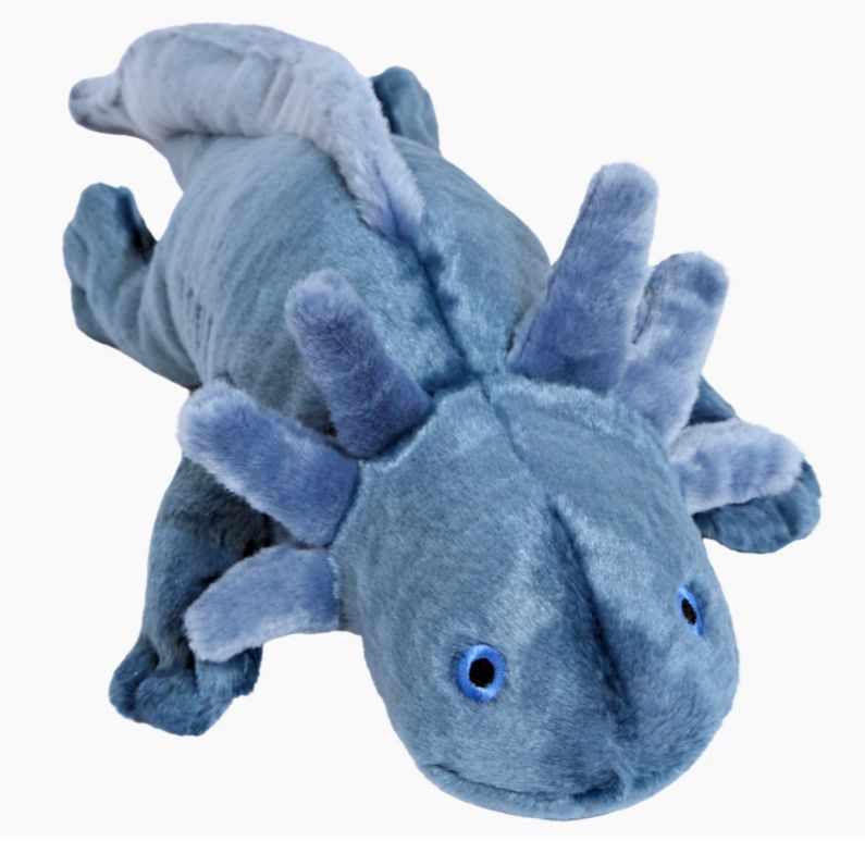 Millie Axolotl