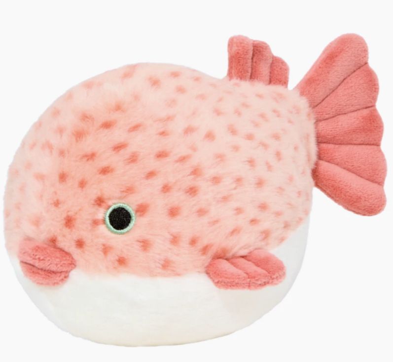 Dottie Puffer Fish