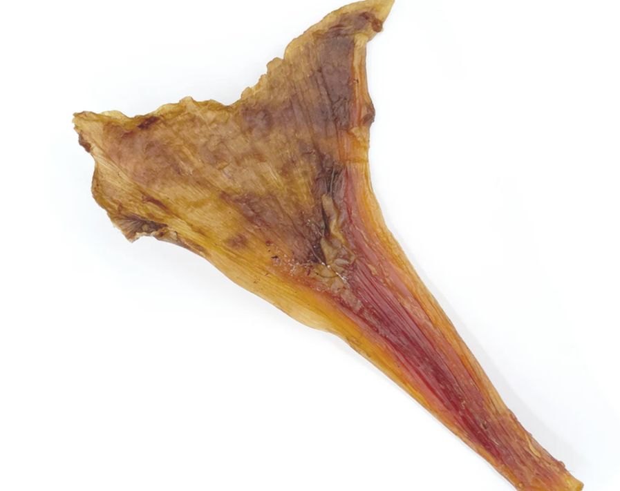 Tuesday's Ostrich Long Tendons