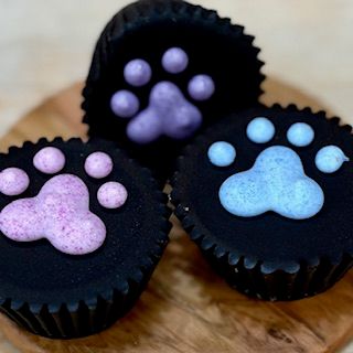 K9 Cup