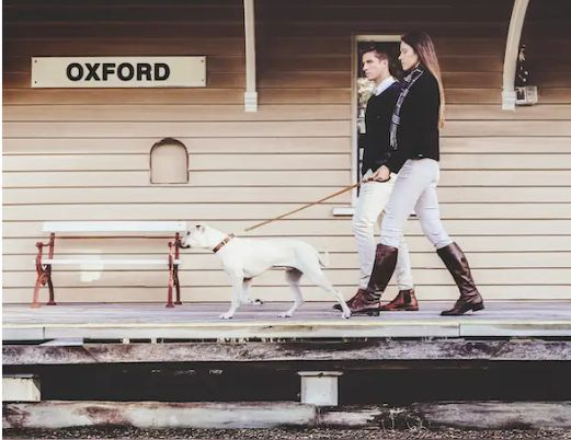 EzyDog Oxford Brown Leather 42" Lead
