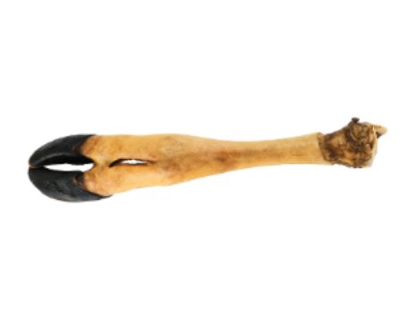 Dogginstix Beef Feet
