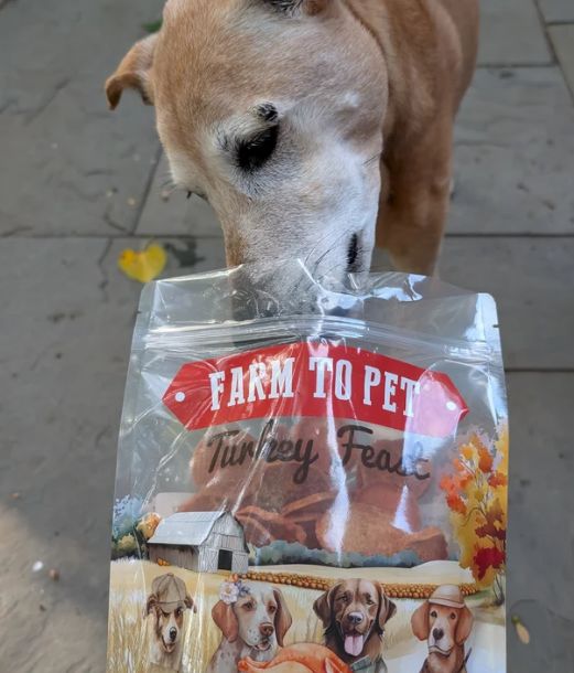 Farm To Pet - Turkey Feast Chips, 12 oz