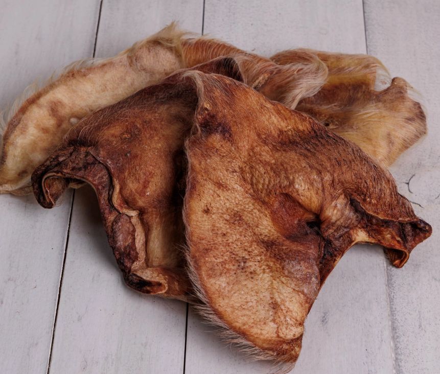 Momentum Hairy Pig Ear