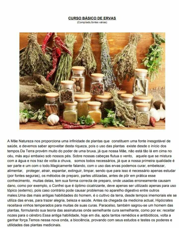 CURSO BÁSICO DE ERVAS