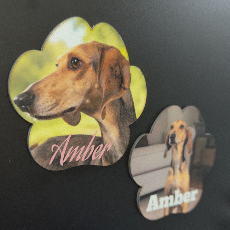 Kühlschrankmagnet Hundepfote – personalisiert