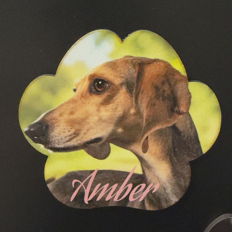 Kühlschrankmagnet Hundepfote – personalisiert