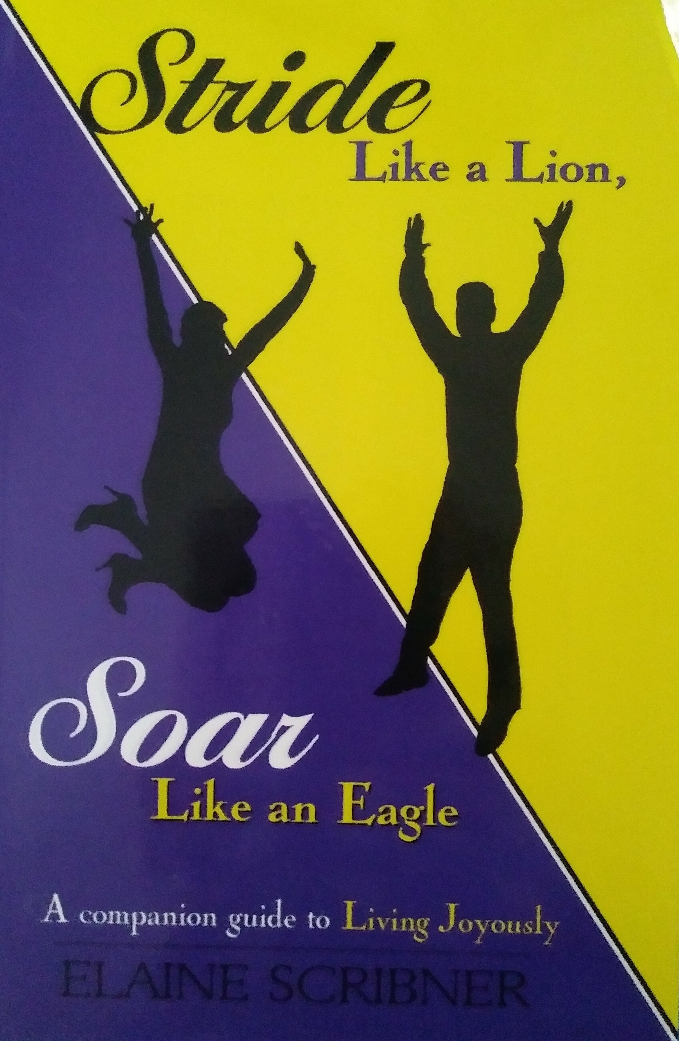Stride Like a Lion, Soar Like an Eagle 00004