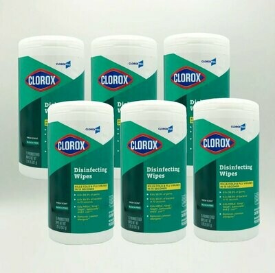 Clorox Disinfecting Wipes, 75ct (case of 6) Clorox Disinfecting Wipes, 75ct (case of 6)