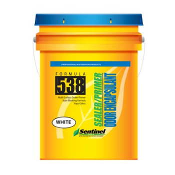 Sentinel 538 WHITE Stain &amp; Odor Encapsulant (5 Gal.)