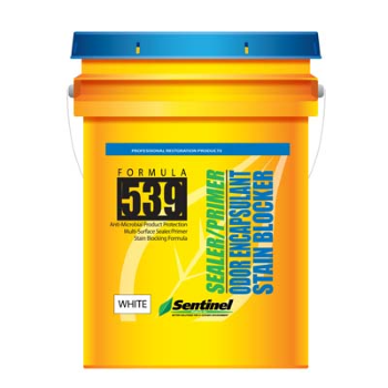 Sentinel 539 Sealer/Primer Odor Encapsulant, Clear (5 Gal.)