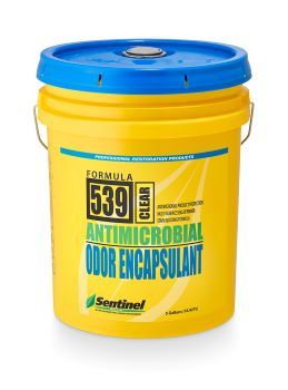 Sentinel 539 Sealer/Primer Odor Encapsulant, Clear (5 Gal.)