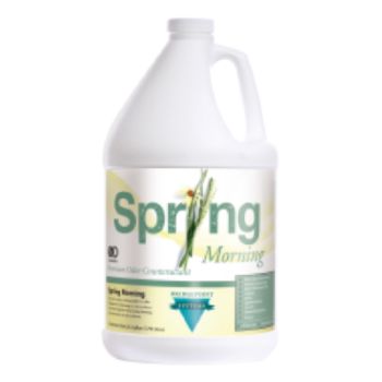 Bridgepoint Spring Morning (Gal.)