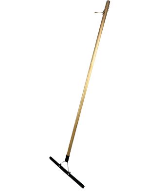 Carpet Brush