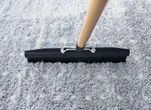 Carpet Brush