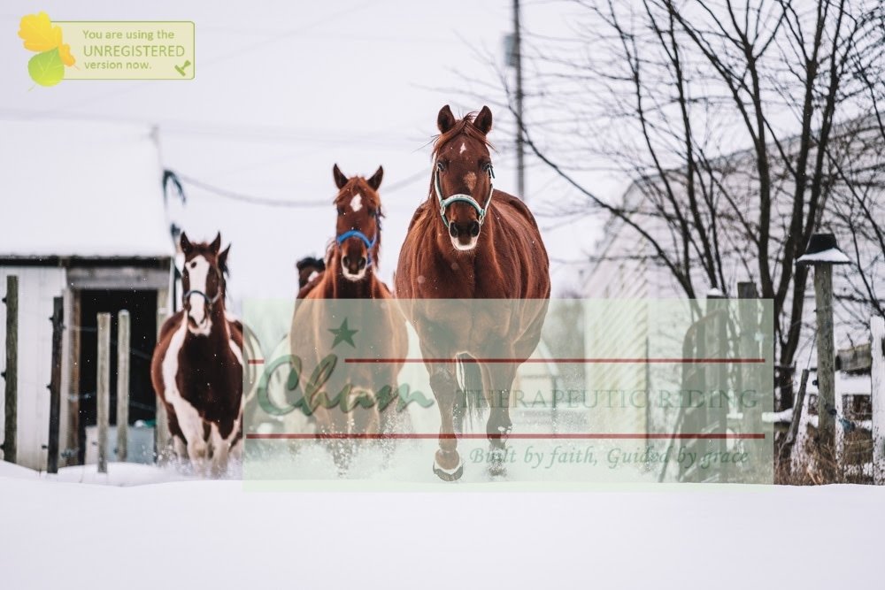 50x60 Photo Blanket