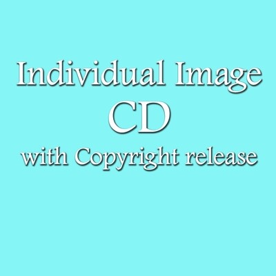 Individual Image CD with Copyright Release