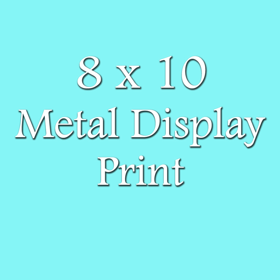 8 x 10 Metal Display Print