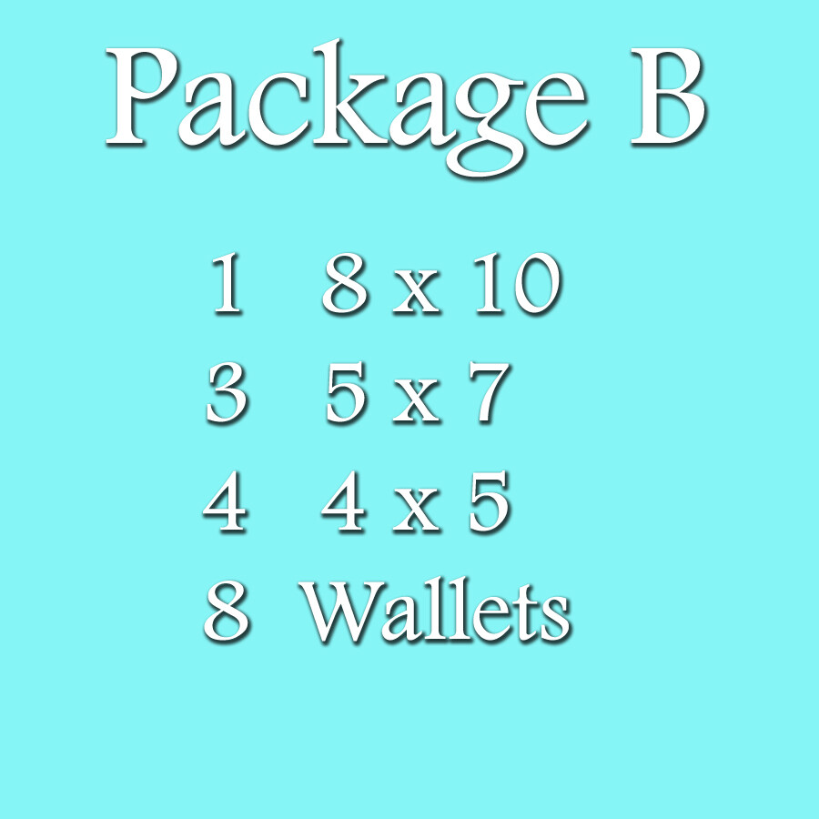 Package B