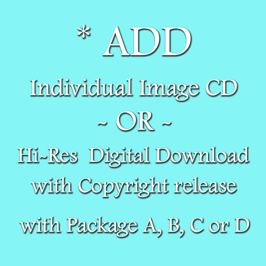 Add Individual Image CD or Digital Download with Package