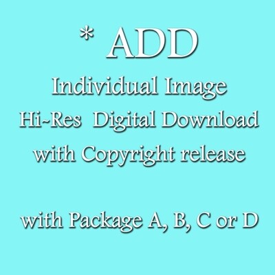 ADD Individual Image Digital Download with Package
