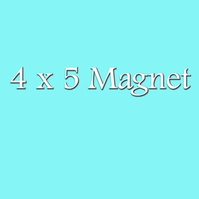4x5 Photo Magnet