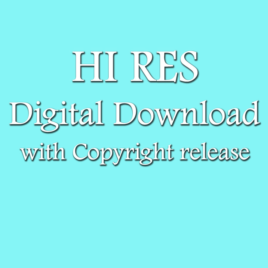 Hi-Res Digital Download