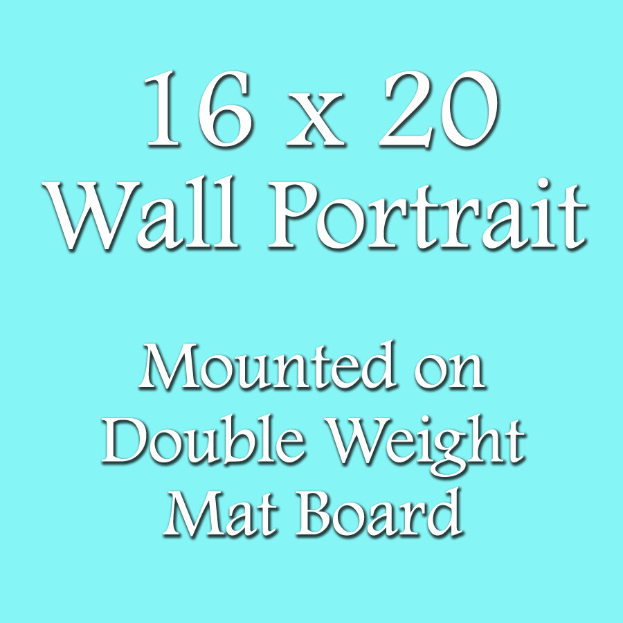 16 x 20 Wall Portrait