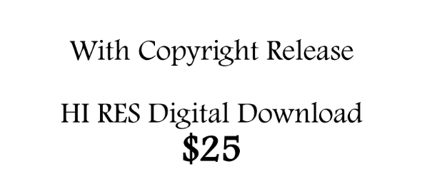 HI RES Digital Download with Copyright Release HI RES Digital Download with Copyright Release