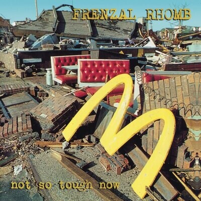 Frenzal Rhomb - Not So Tough Now [LP]