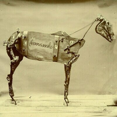Chadwick Stokes - The Horse Comanche [LP], Gat