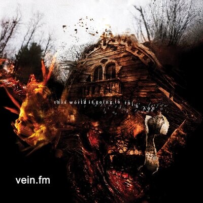 VEIN.FM - The World Is Going To Ruin You (Red) [LP]