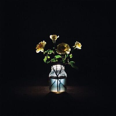 Billy Strings - Renewal [2LP]
