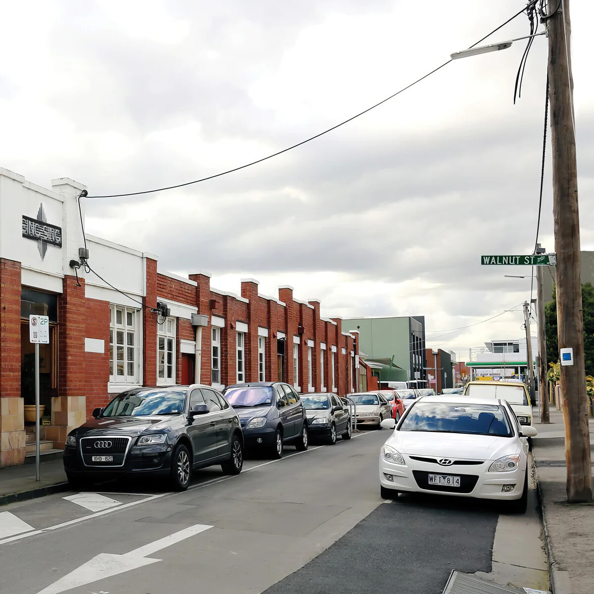 TISM - Hot Dogma: Sing Sing Sessions [2LP]