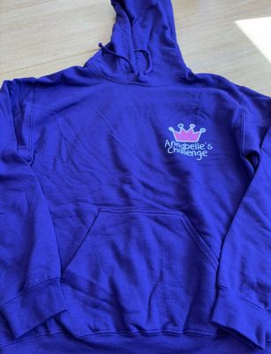 Hoodie Sale Small Logo