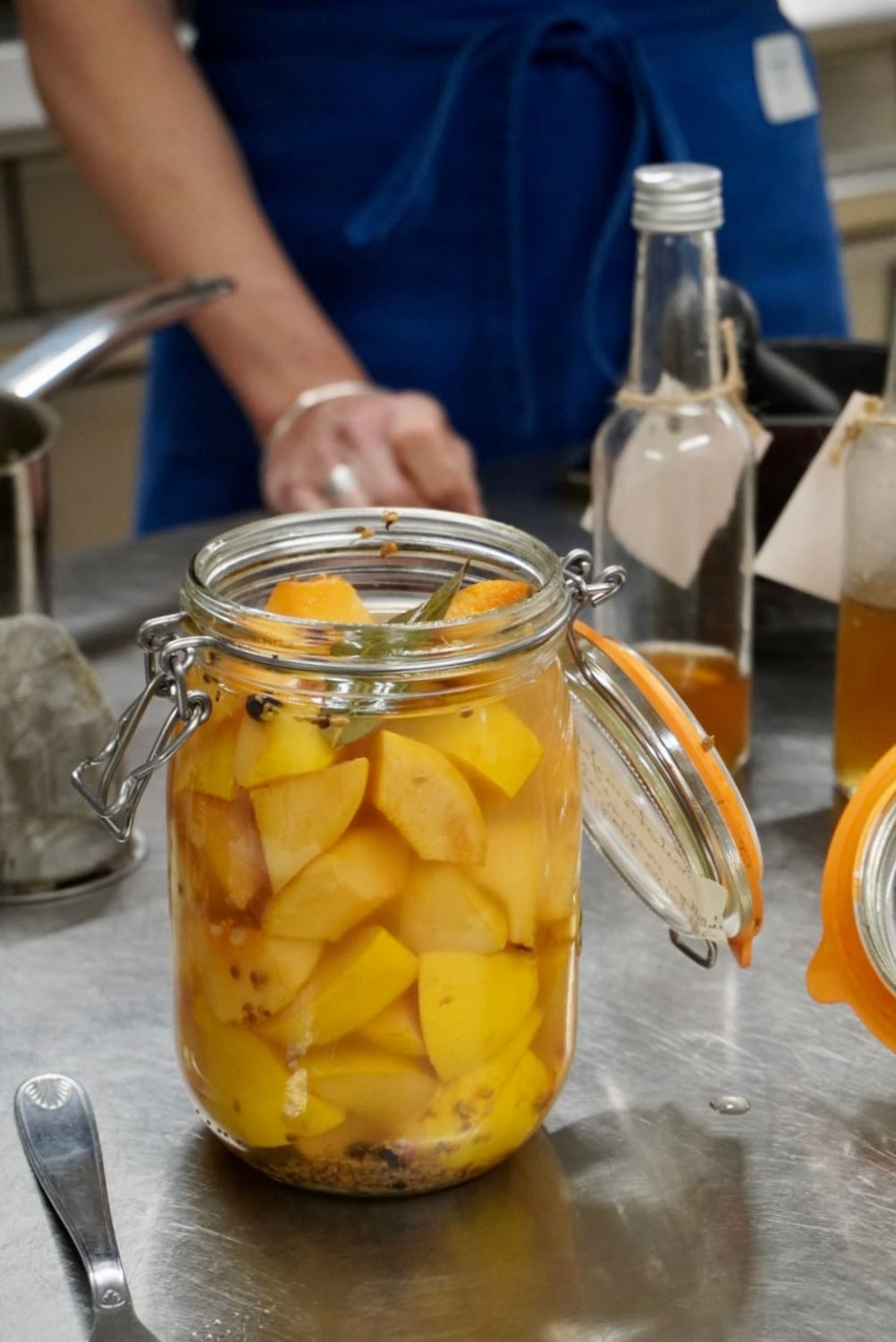 Bootcamp " fermentation &amp; plantes sauvages" du 16 au 18 novembre 2026