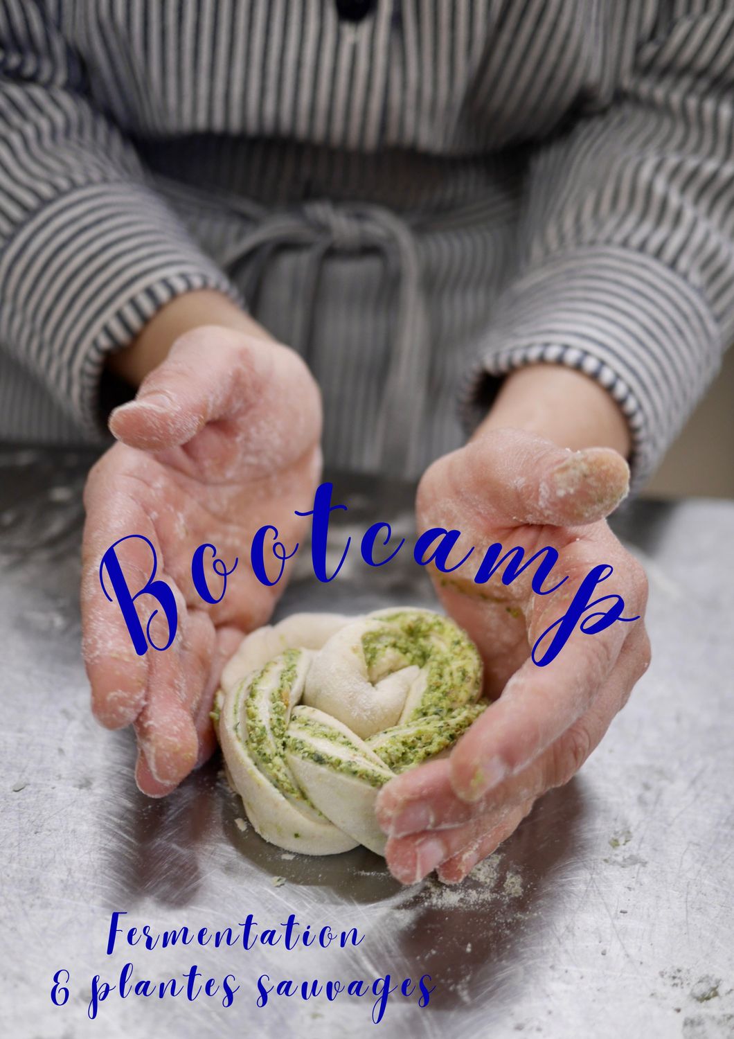 Bootcamp " fermentation &amp; plantes sauvages" du 16 au 18 novembre 2026