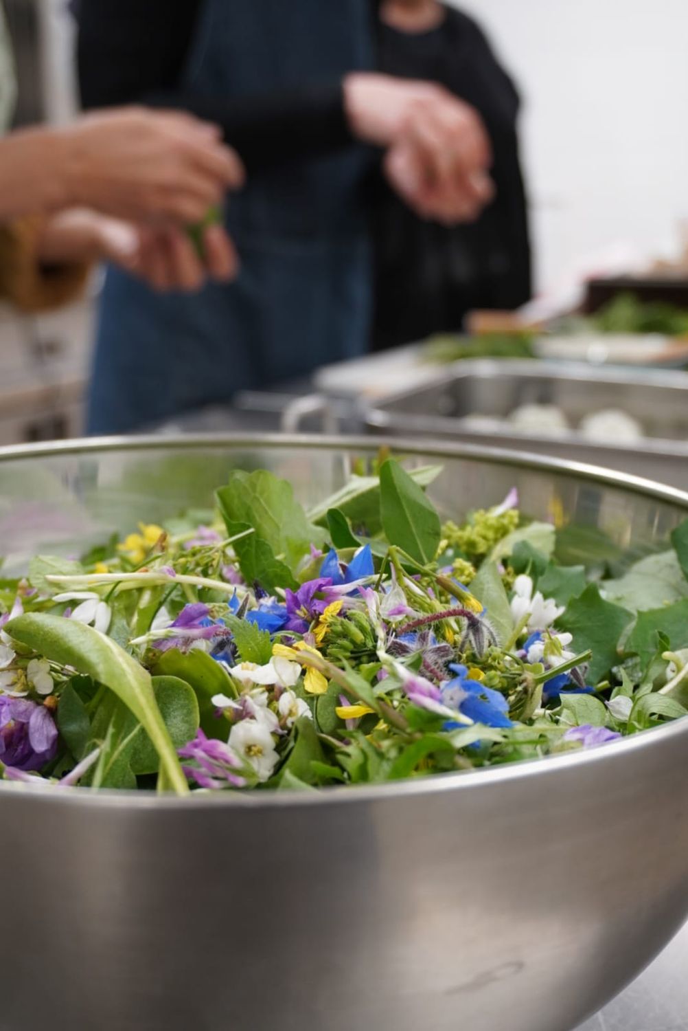 Bootcamp " fermentation &amp; plantes sauvages" du 16 au 18 novembre 2026