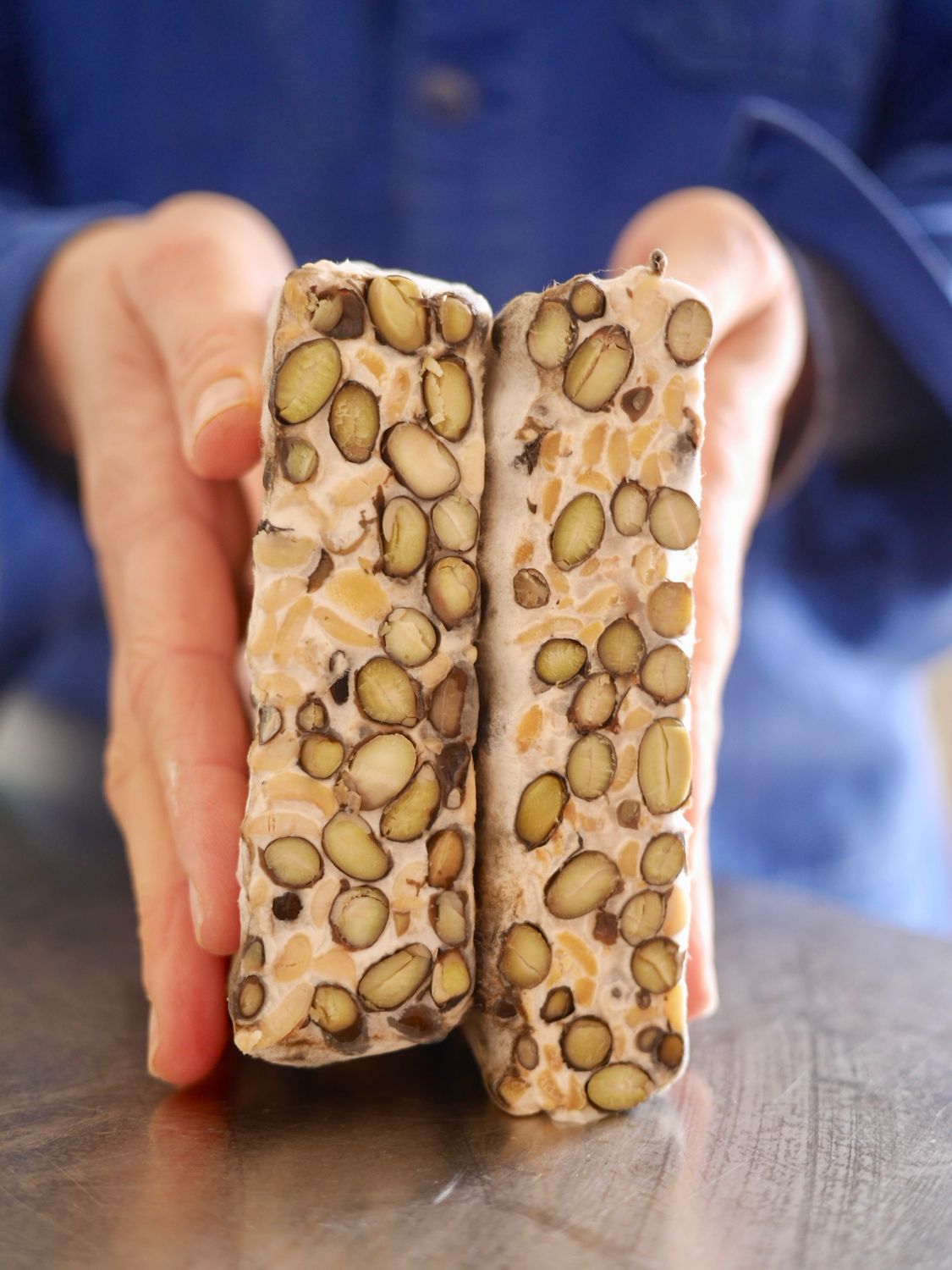 Bootcamp " fermentation &amp; plantes sauvages" du 16 au 18 novembre 2026
